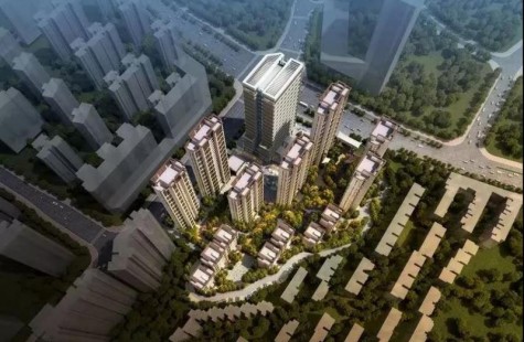 金茂建发·泊悦